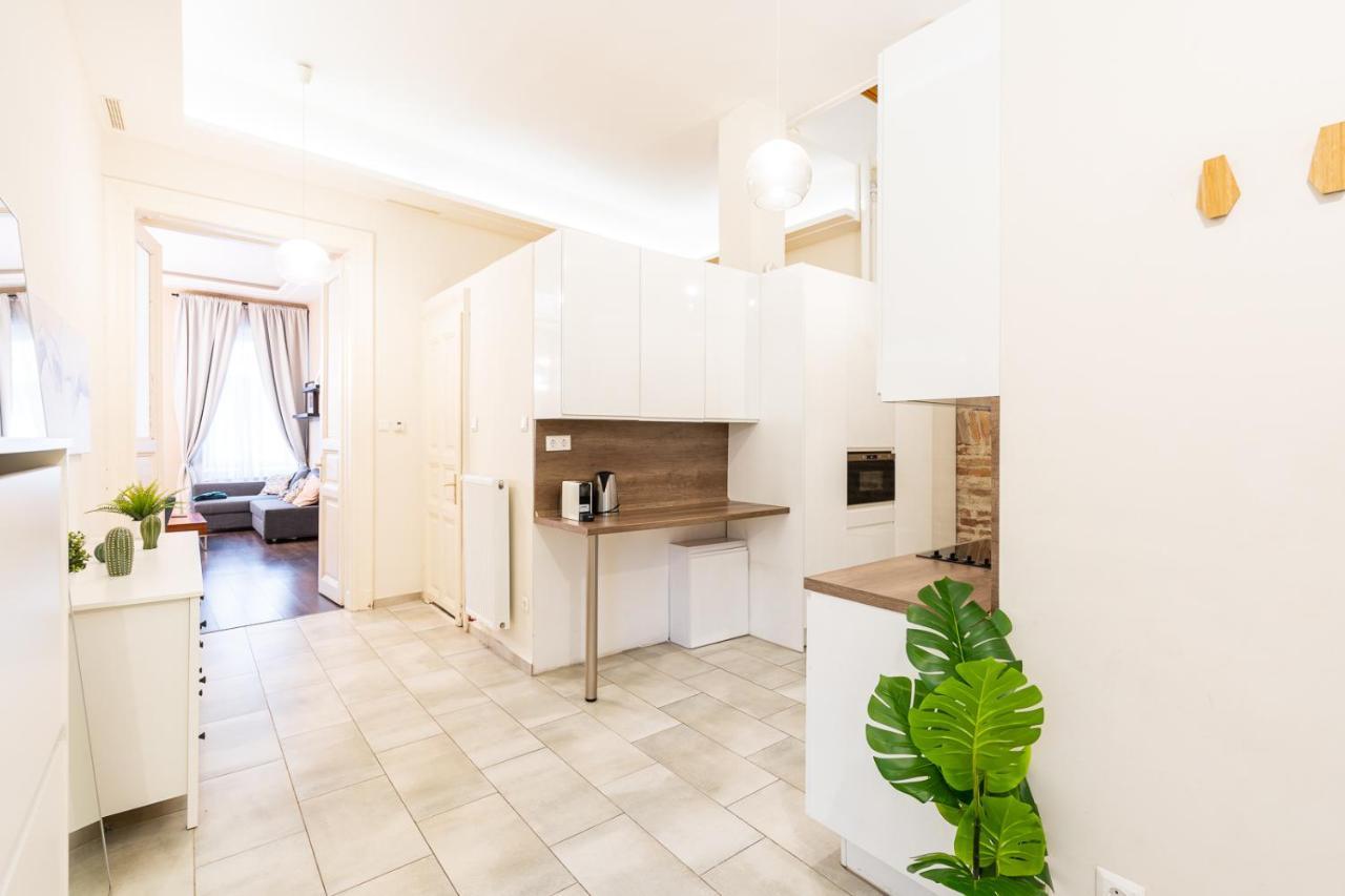 Spacious Luxury Apartment At The Heart Of Budapešť Exteriér fotografie